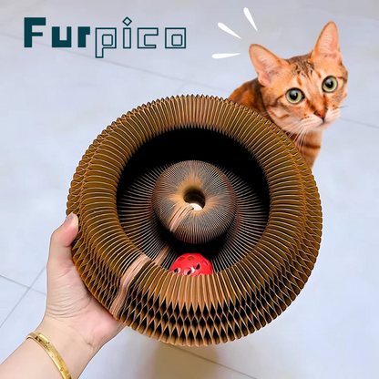 🔥Last Day Buy 1 Get 1 Free $14.99 Each🐱The Ultimate Cat Playground & Cozy Bed – All in One!🛌