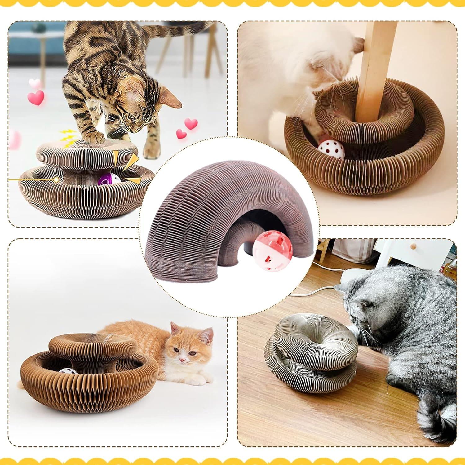 🔥Last Day Buy 1 Get 1 Free $14.99 Each🐱The Ultimate Cat Playground & Cozy Bed – All in One!🛌