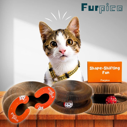 🔥Last Day Buy 1 Get 1 Free $14.99 Each🐱The Ultimate Cat Playground & Cozy Bed – All in One!🛌