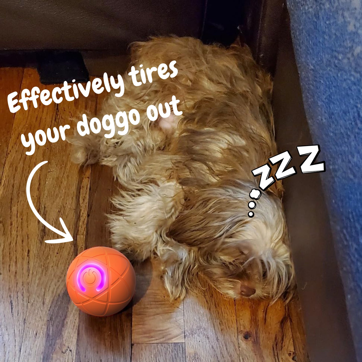 🔥Last Day Buy 1 Get 1 Free $14.99 Each🐶Pet Bounce Ball 🐱