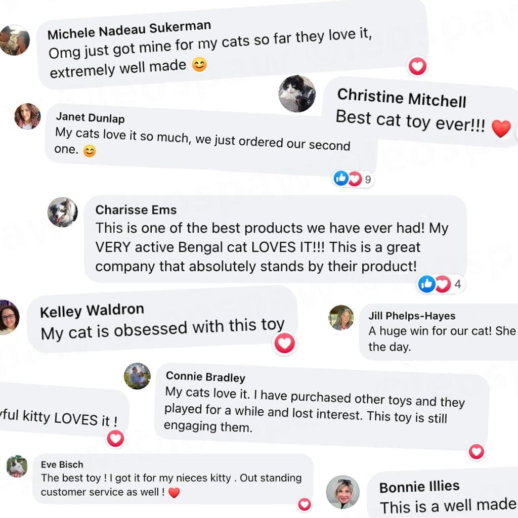 🔥Last Day Buy 1 Get 1 Free $14.99 Each🔥Interactive Bird Simulation Cat Toy Set