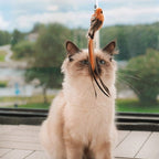 🔥Last Day Buy 1 Get 1 Free $14.99 Each🔥Interactive Bird Simulation Cat Toy Set