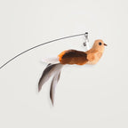 🔥Last Day Buy 1 Get 1 Free $14.99 Each🔥Interactive Bird Simulation Cat Toy Set