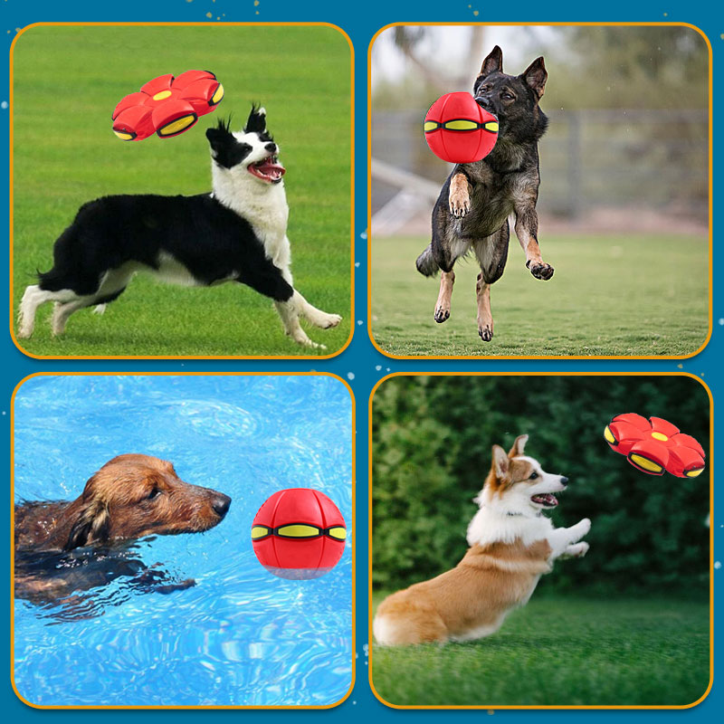 🔥Last Day Buy 1 Get 1 Free $14.99 Each🐾Pet Toy Flying Saucer Ball