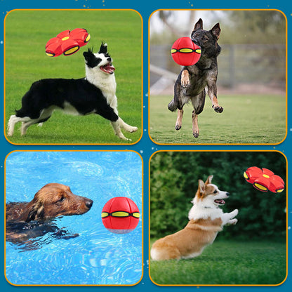 🔥Last Day Buy 1 Get 1 Free $14.99 Each🐾Pet Toy Flying Saucer Ball