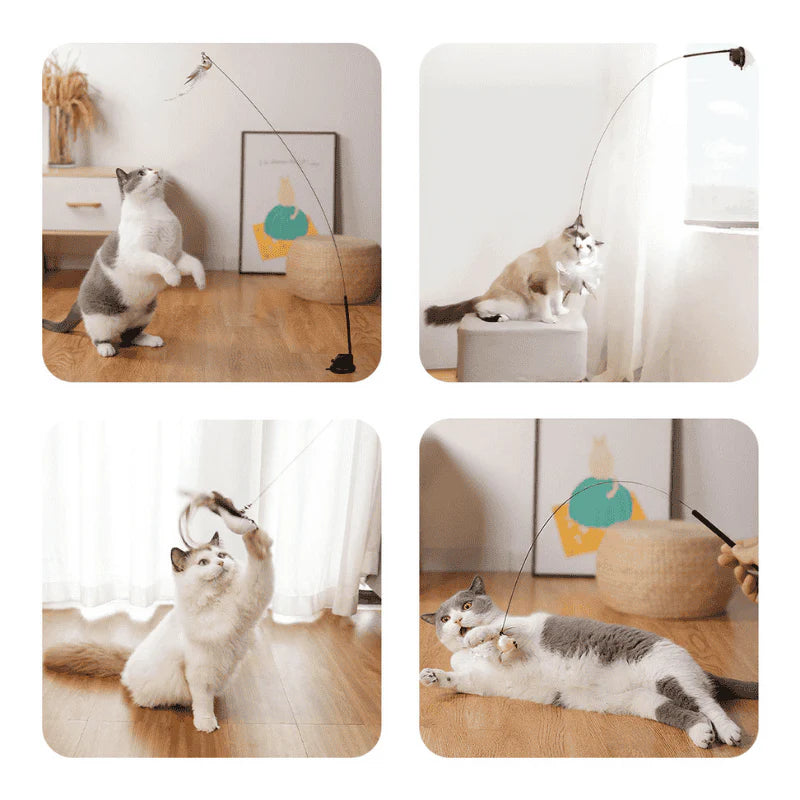 🔥Last Day Buy 1 Get 1 Free $14.99 Each🔥Interactive Bird Simulation Cat Toy Set