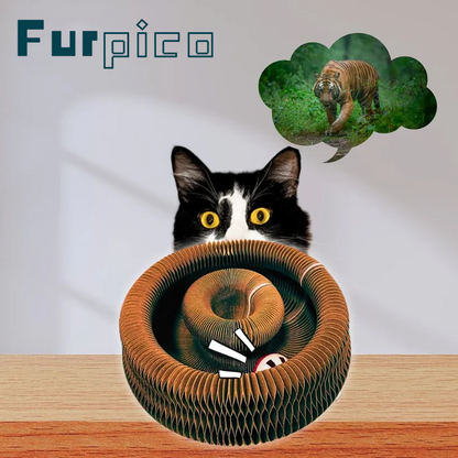 🔥Last Day Buy 1 Get 1 Free $14.99 Each🐱The Ultimate Cat Playground & Cozy Bed – All in One!🛌