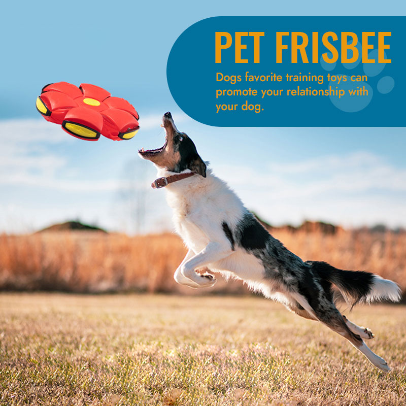 🔥Last Day Buy 1 Get 1 Free $14.99 Each🐾Pet Toy Flying Saucer Ball