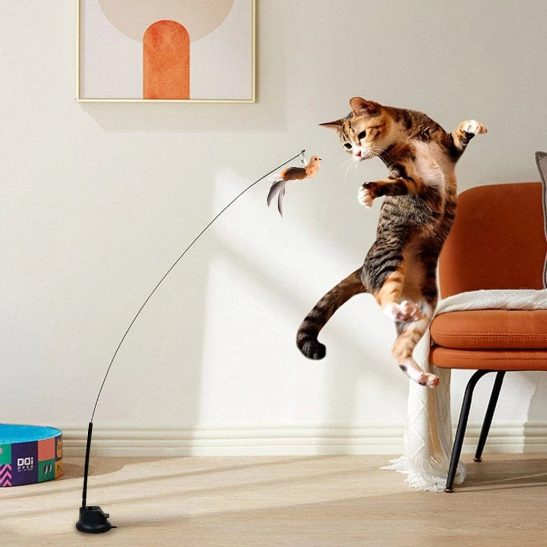 🔥Last Day Buy 1 Get 1 Free $14.99 Each🔥Interactive Bird Simulation Cat Toy Set