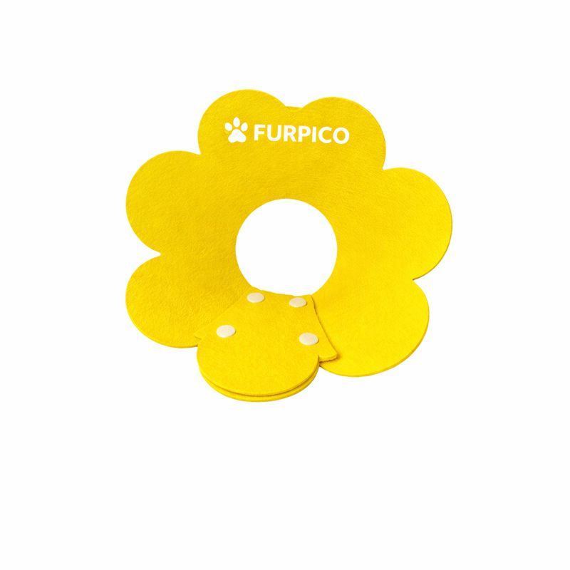 Flower Felt Recovery Collar