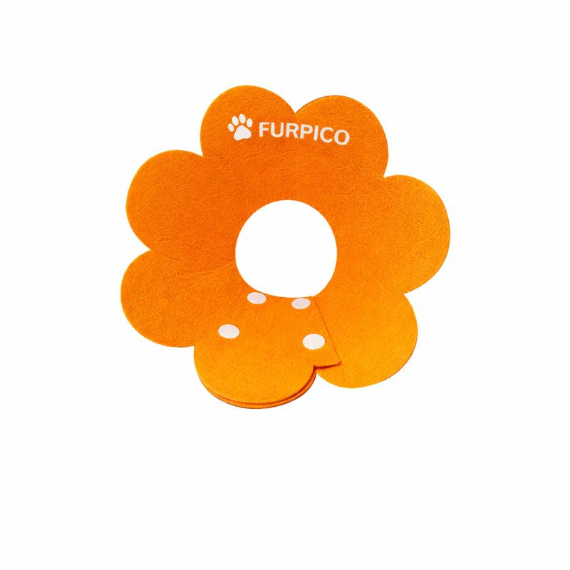Flower Felt Recovery Collar