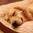 Plush Pet Sleeping Mat