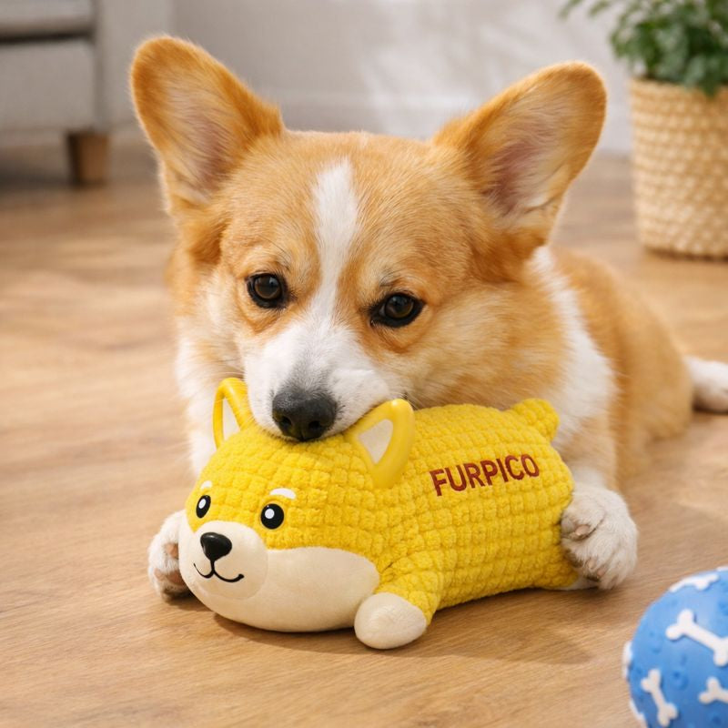 Natural Latex Squeaky Chew Toy