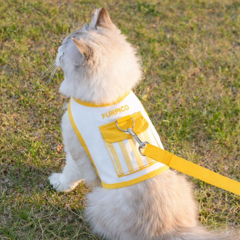 Breathable Escape-Proof Pet Harness & Leash Set