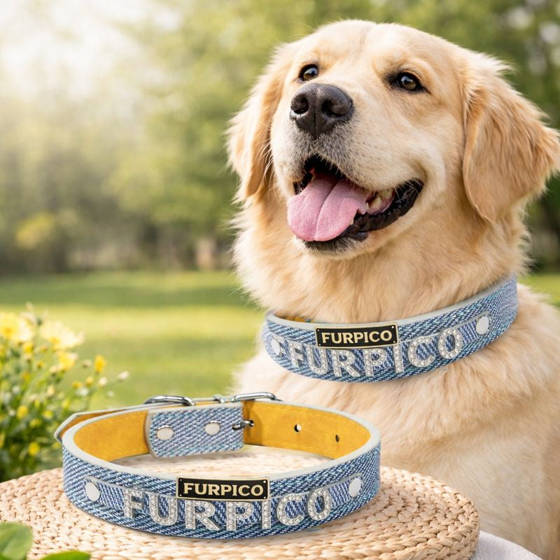 Denim-Style PU Leather Dog Collar