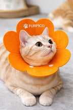 Flower Felt Recovery Collar