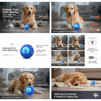 🔥Last Day Buy 1 Get 1 Free $14.99 Each🐶Pet Bounce Ball 🐱