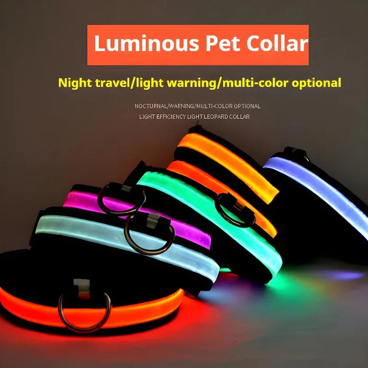 🌟LED Safety Glowing Flashing Dog Collar Night Illuminated Glow In The Dark🐕