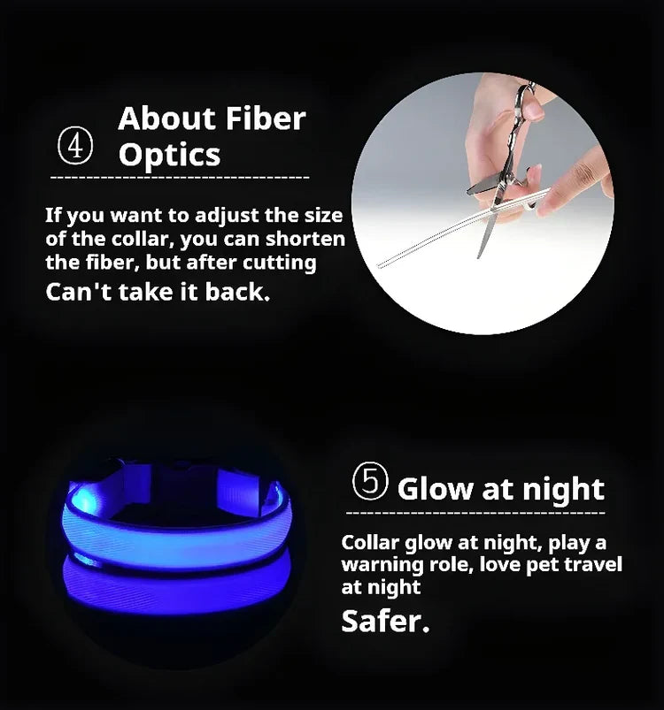 🌟LED Safety Glowing Flashing Dog Collar Night Illuminated Glow In The Dark🐕