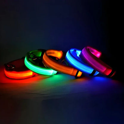 🌟LED Safety Glowing Flashing Dog Collar Night Illuminated Glow In The Dark🐕