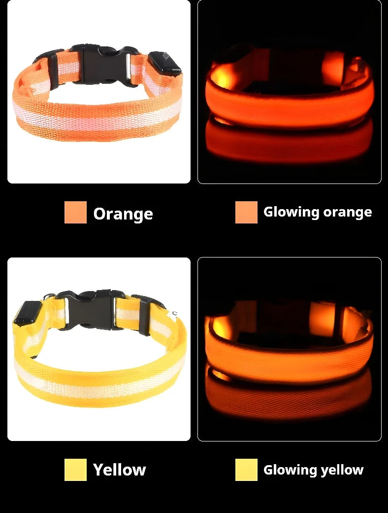 🌟LED Safety Glowing Flashing Dog Collar Night Illuminated Glow In The Dark🐕