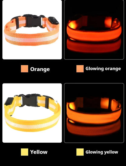 🌟LED Safety Glowing Flashing Dog Collar Night Illuminated Glow In The Dark🐕