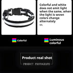 🌟LED Safety Glowing Flashing Dog Collar Night Illuminated Glow In The Dark🐕