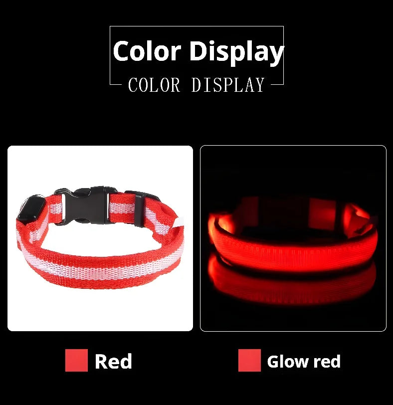 🌟LED Safety Glowing Flashing Dog Collar Night Illuminated Glow In The Dark🐕