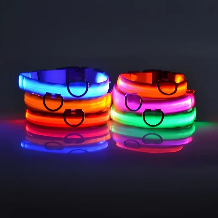 🌟LED Safety Glowing Flashing Dog Collar Night Illuminated Glow In The Dark🐕