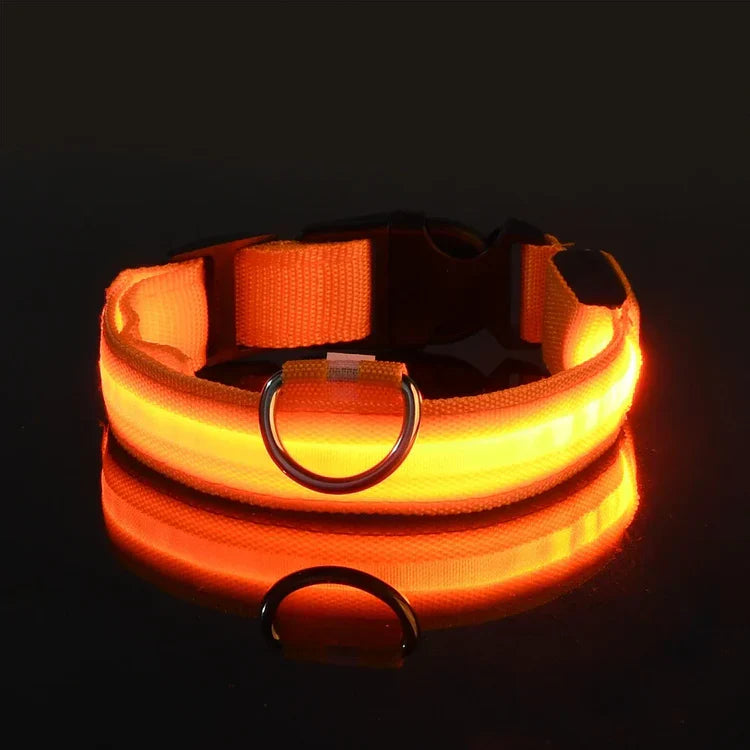 🌟LED Safety Glowing Flashing Dog Collar Night Illuminated Glow In The Dark🐕