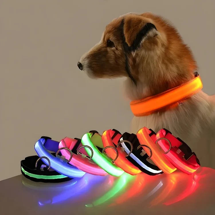 🌟LED Safety Glowing Flashing Dog Collar Night Illuminated Glow In The Dark🐕
