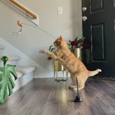 🔥Last Day Buy 1 Get 1 Free $14.99 Each🔥Interactive Bird Simulation Cat Toy Set