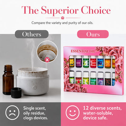 🌺The fresh scent lifts your mood！🌷12-Pack Water Soluble Essential Oils Set